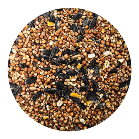 Kaylor of Colorado Country Blends Wild Bird Food 6lb - Poudre Pet & Feed Supply 2